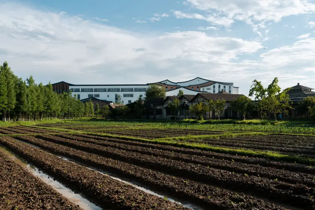 通信工程服务商解析：基站建设与光纤接入如何协同提升信号覆盖质量