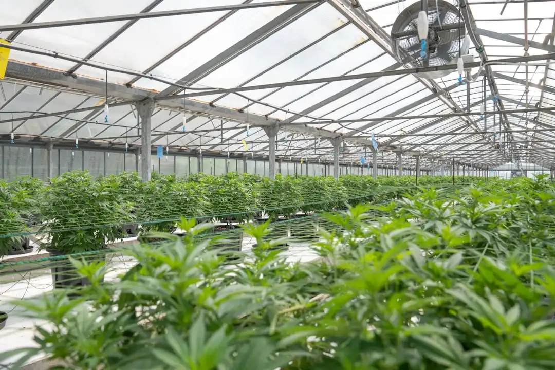 广西南宁捷礼信息科技通信工程服务范围与项目周期说明
